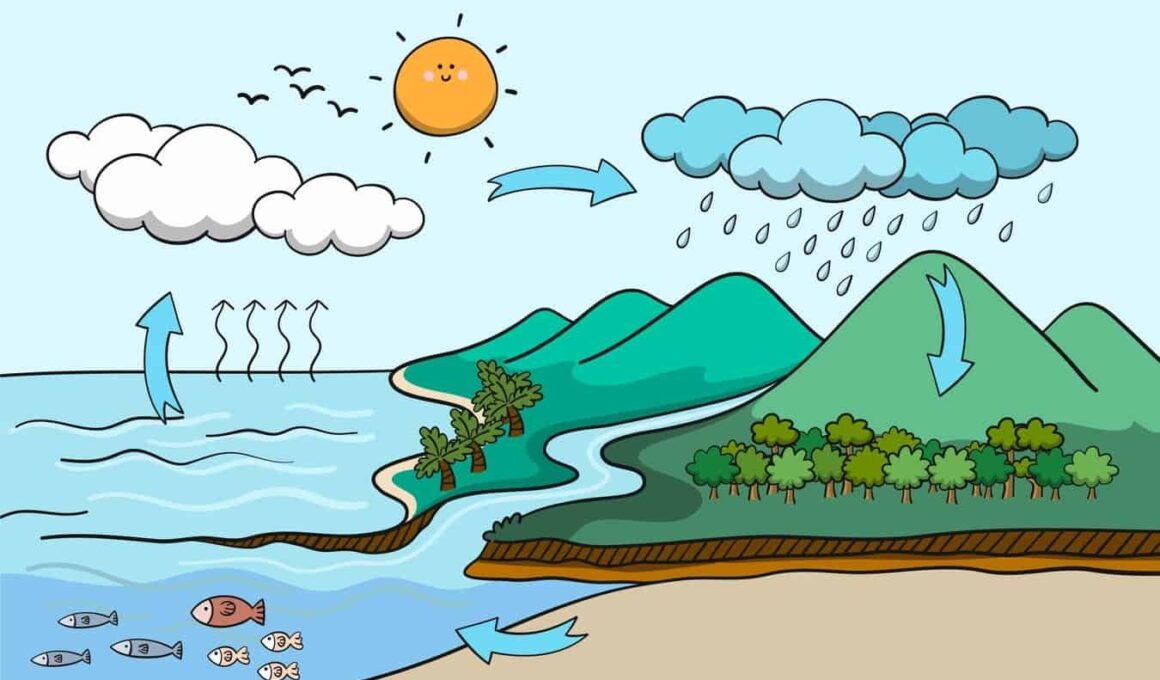 Proses Siklus Hidrologi