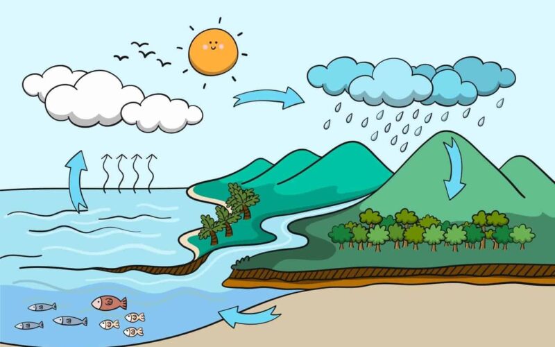 Proses Siklus Hidrologi